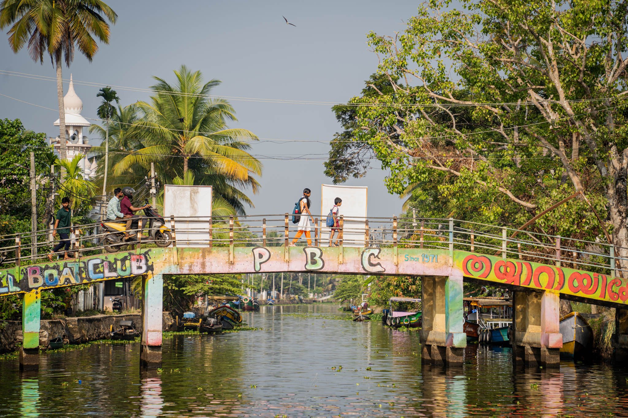 Adventures of jellie Adventures of jellie