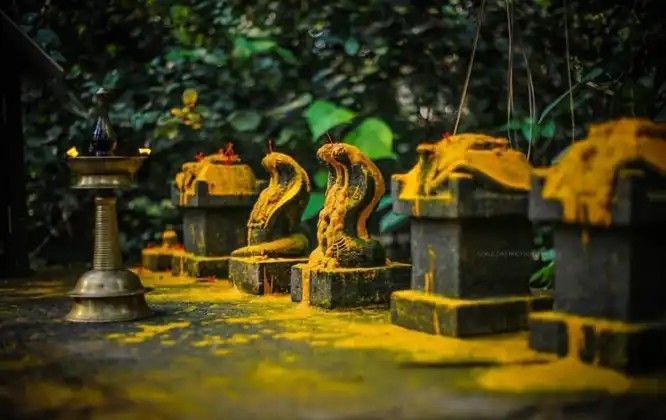 Eternal Mannarasala Temple – Famous Serpent Worship Temple in Alleppey, Kerala